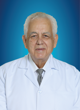 Professor Dr. Adnan Hassan