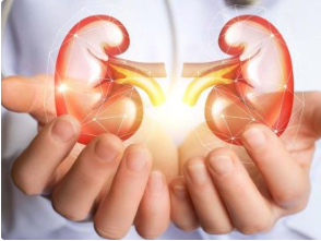 Kidney transplantation